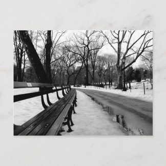 Snowy Central Park Postkarte