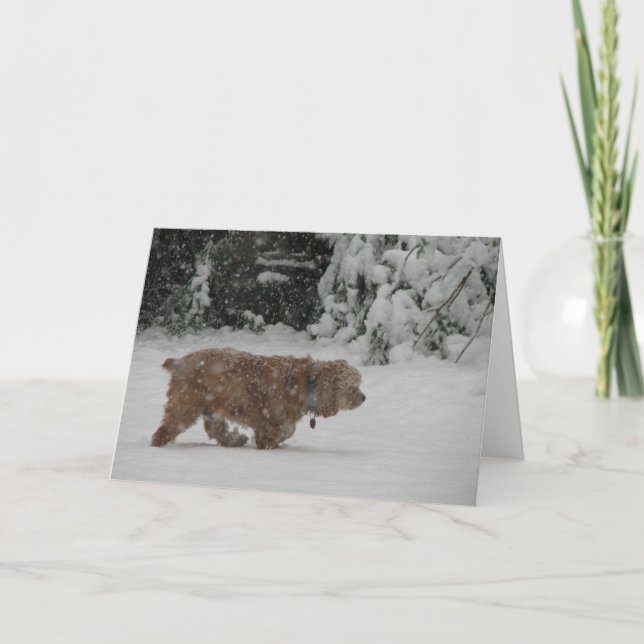 Snowy Cocker spaniel Feiertagskarte (Vorderseite)