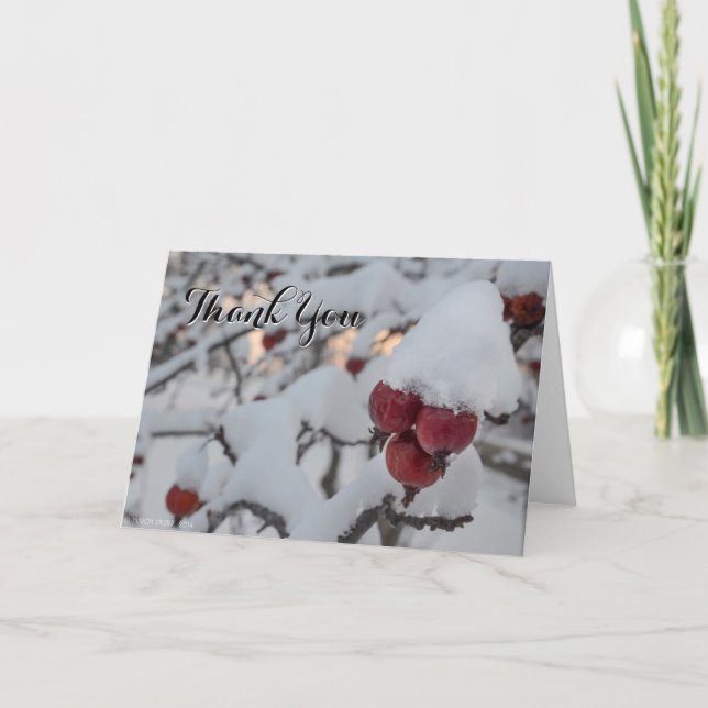 Snowy Crab Apple Thank You Dankeskarte (Vorderseite)