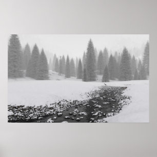 Snowy Creek Poster
