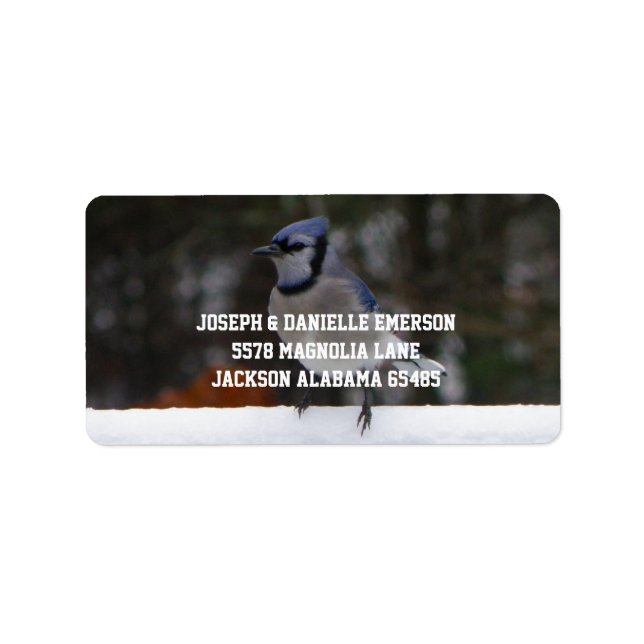 Snowy Day Blue Jay Address Labels Adressaufkleber (Vorne)