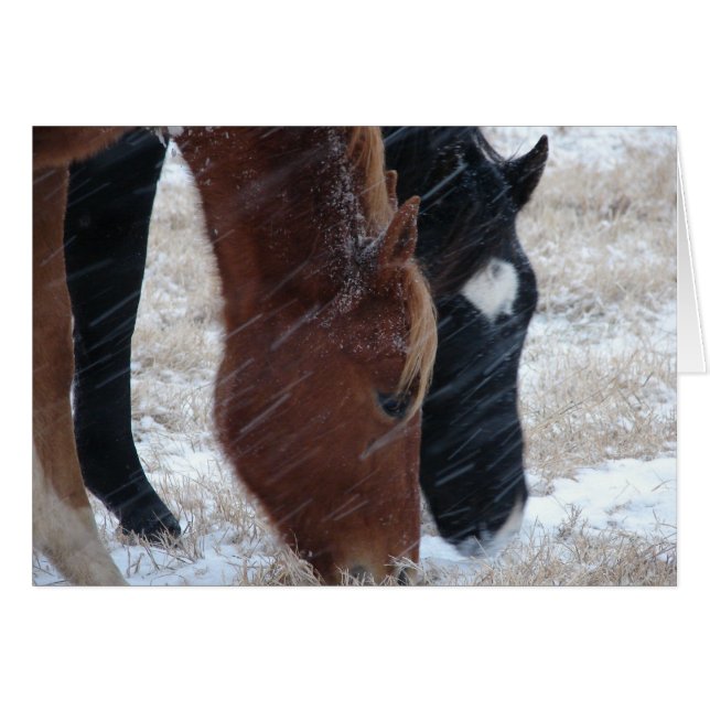 Snowy Eats, Geburtstag (Vorderseite (Horizontal))