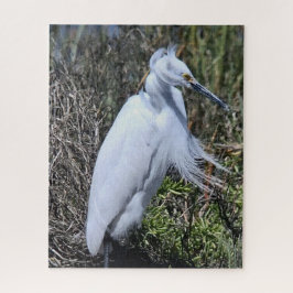 Snowy Egret