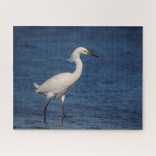 Snowy Egret am Nordstrand