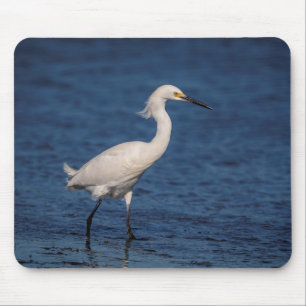 Snowy Egret am Nordstrand Mousepad