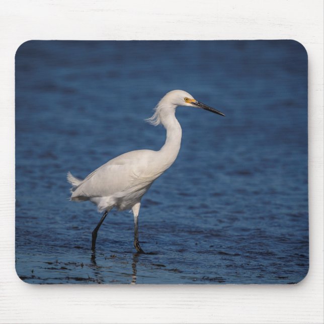 Snowy Egret am Nordstrand Mousepad (Vorne)