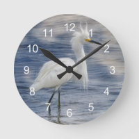 Snowy Egret Animal Wildlife
