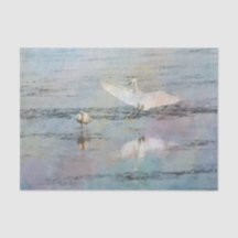 Snowy Egret Aquarellpapier