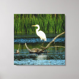 Snowy Egret auf Log-Canvas Print Leinwanddruck