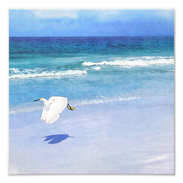 Snowy Egret Coastal Watercolor Fotodruck (Vorne)