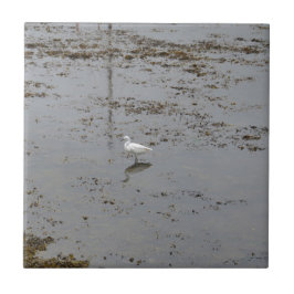 Snowy Egret Fliese