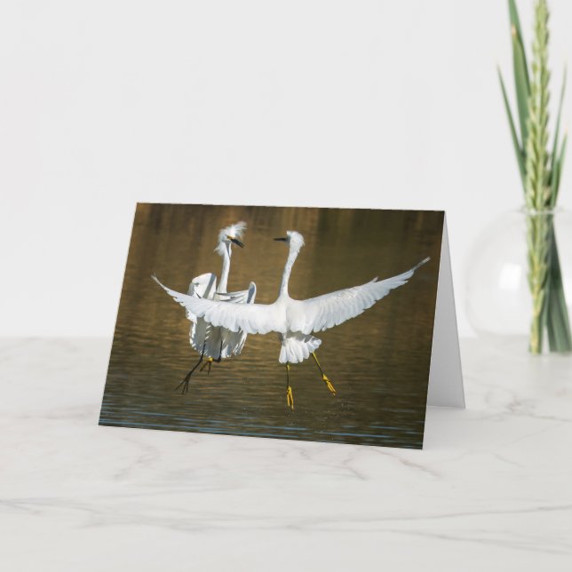 Snowy Egret Greeting Card Karte (Vorderseite)