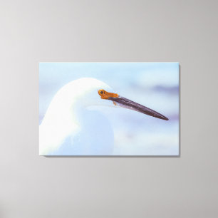 Snowy Egret Leinwanddruck