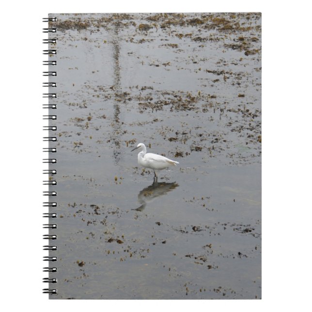 Snowy Egret Notizblock (Vorderseite)