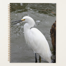 Snowy Egret Planer