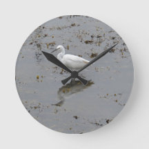 Snowy Egret