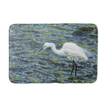Snowy Egret Stork Lake White Bird