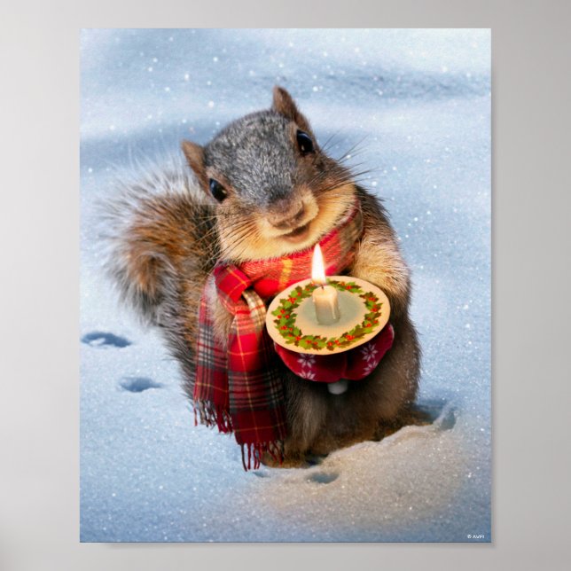 Snowy Eichhörnchen Holocandle Poster (Vorne)