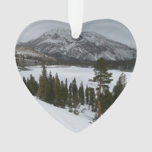 Snowy Ellery Lake California Paysage hivernal