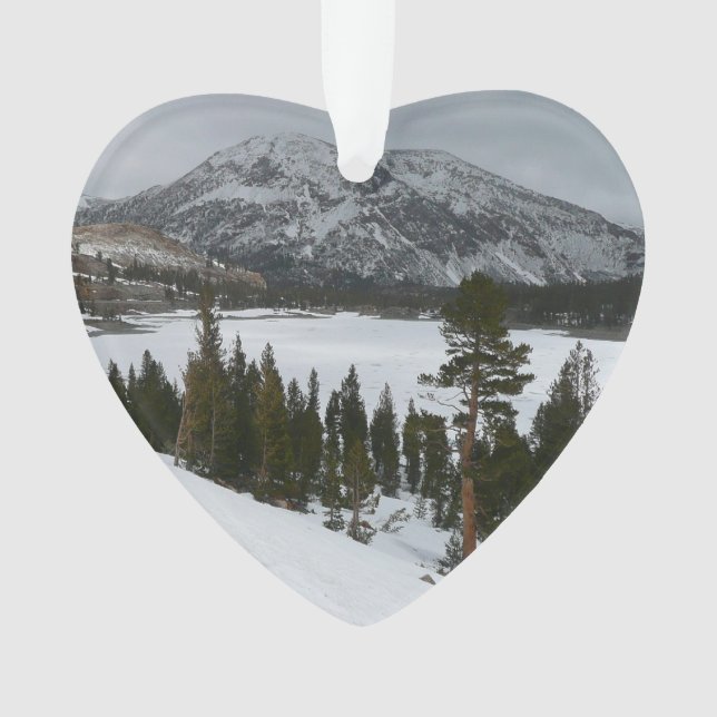 Snowy Ellery Lake California Paysage hivernal (devant)