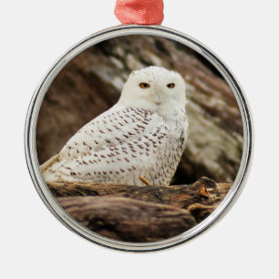 Snowy-Eule am Weihnachten Ornament Aus Metall