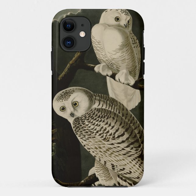 Snowy-Eule Case-Mate iPhone Hülle (Rückseite)