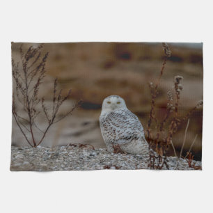 Snowy-Eule, die auf einem Felsen sitzt Küchentuch