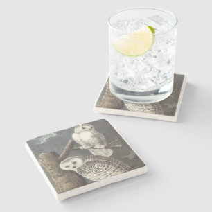 Snowy-Eule durch Audubon Steinuntersetzer