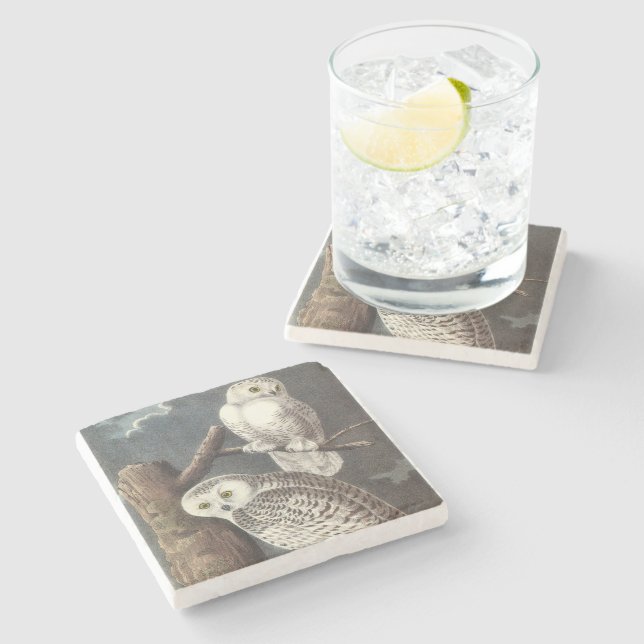 Snowy-Eule durch Audubon Steinuntersetzer (Seitenansicht)