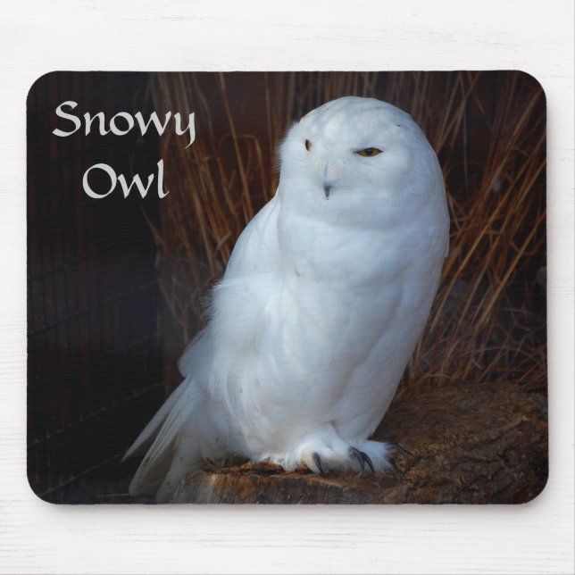 Snowy-Eule - mousepad (Vorne)