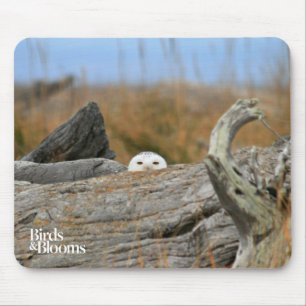 Snowy-Eule Mousepad