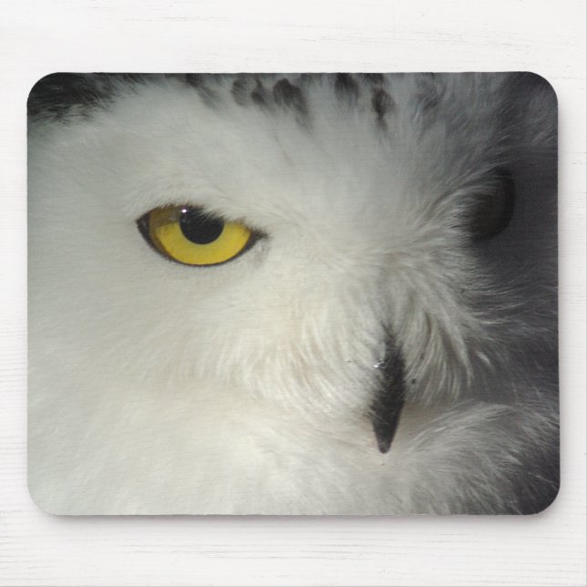 Snowy-Eule Mousepad (Vorne)
