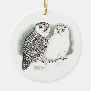 Snowy-Eulen Keramik Ornament