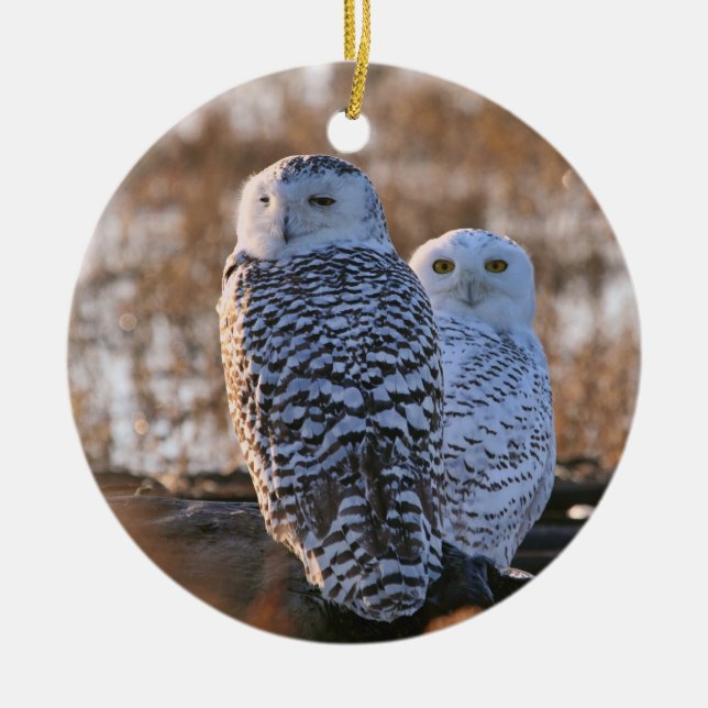 Snowy-Eulen-Paare Keramik Ornament (Vorne)