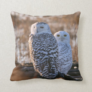 Snowy-Eulen-Paare Kissen