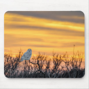Snowy-Eulen-Sonnenuntergang-Mausunterlage Mousepad
