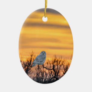Snowy-Eulen-Sonnenuntergang-Verzierung Keramikornament