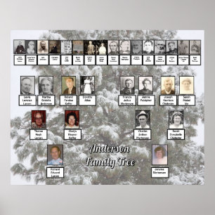 Snowy Evergreen 4 Generation Family Trester Poster
