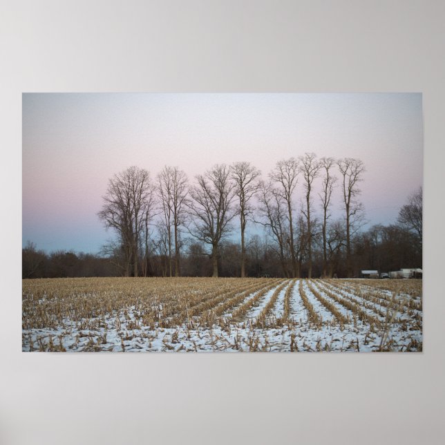Snowy Field Foto Poster (Vorne)