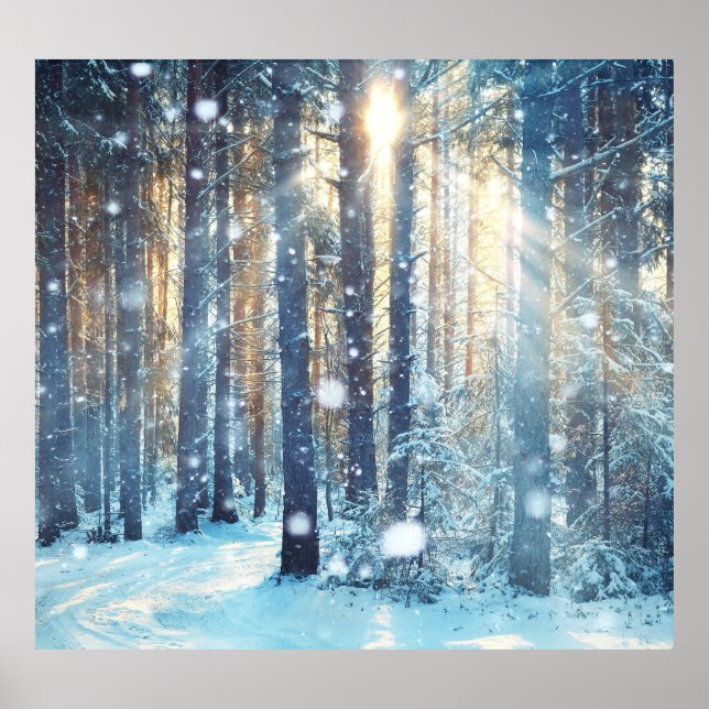 Snowy Forest Frosty Winter Szene Poster (Vorne)