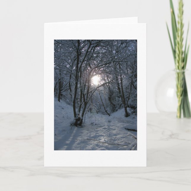 Snowy Forest Trail Karte (Vorderseite)