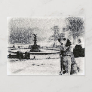 "Snowy Golden by Bethesda Fown" Zentralpark Postkarte