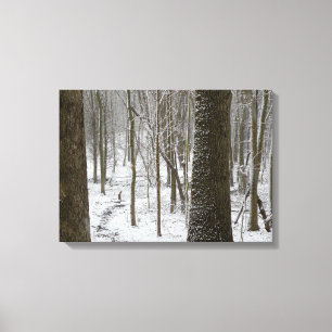 Snowy-Holz-Szene Leinwanddruck