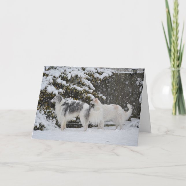 Snowy Hunt Borzoi Fotografy Grußkarte Ankündigung (Vorderseite)
