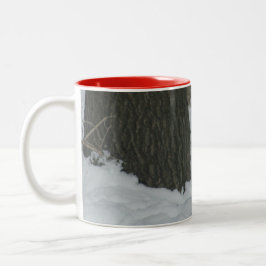 Snowy Kardinal Zweifarbige Tasse