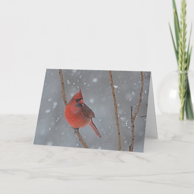 Snowy-Kardinals-Weihnachtskarte Feiertagskarte (Vorderseite)