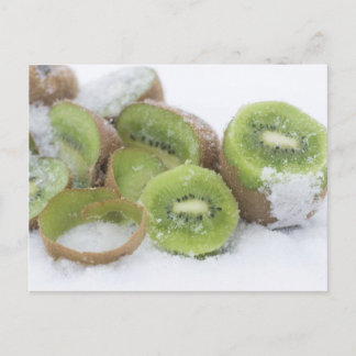Snowy Kiwi Postkarte