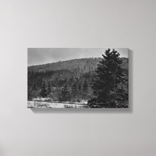 Snowy-Landschaft in Schwarzweiss Leinwanddruck