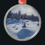 Snowy-Landschaft Ornament Aus Metall<br><div class="desc">Dieses Foto kennzeichnet eine einfache Landschaft mit tiefen Antrieben des Schnees,  tiefe Schatten und schneit beladene Bäume.</div>
