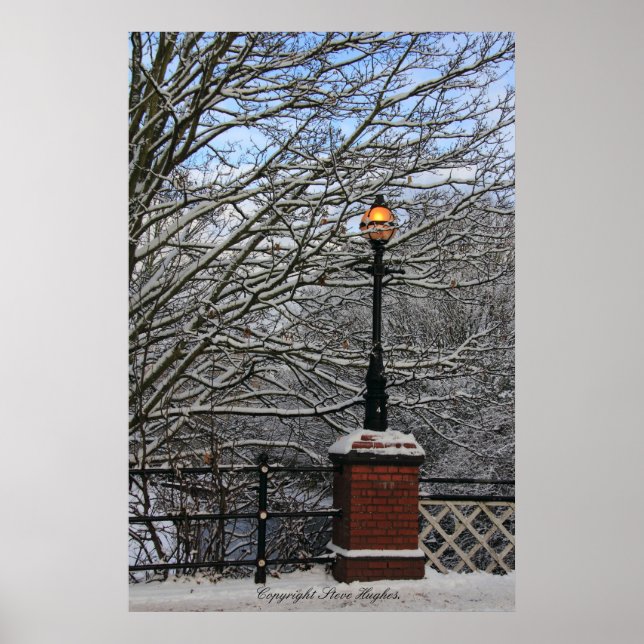 Snowy Light Scene Print Poster (Vorne)